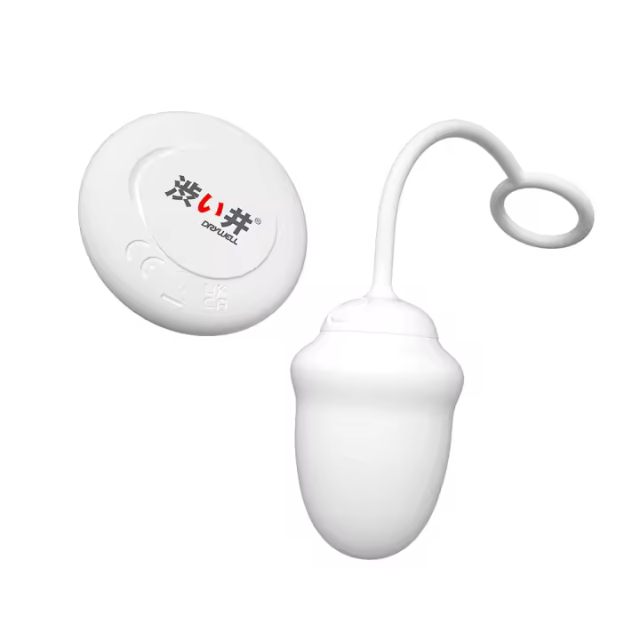 DRYWELL Vibrador de control remoto inalámbrico, bolas de vagina, bragas vibradoras, juguetes sexuales silenciosos para un orgasmo rápido, portátil - 1