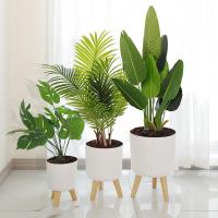 Maceta con soporte de madera para plantas, estante de exhibición para interiores, escritorio, decoración de sala de estar, maceta de flores de pie - details 0
