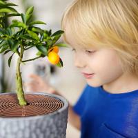 Juego de protectores de rejilla para macetas antideslizantes para interiores y exteriores, máquina para plantar flores, cubierta de suelo, con 8 plantas de madera, 4 Uds. - details 2