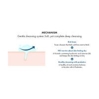 PRO BALANCE FOAM