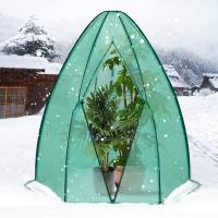 Invernadero, tienda de campaña para invierno, invernadero de jardín, invernadero de plástico, marco frío, invernadero de tomate verde - details 4
