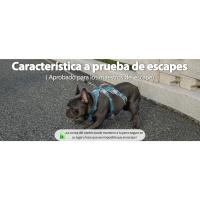 arnés para perros