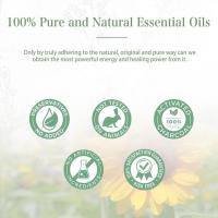 Aceite de Aloe Veras para la piel, Gel orgánico de Aloe Veras para absorber la piel, aceite hidratante puro de planta de aloe de corte recién Extra - details 7