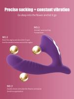 Vibradores de Silicona para Vagina Succión 10 Velocidades Estimulador de Clítoris Juguetes Sexuales para Masturbación Femenina - details 10