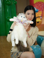 Muñeca muñeca de tela de felpa juguete cumpleañera explosión de la misma mochila de gato ragdoll simulada bolsa de gato gordito - details 24