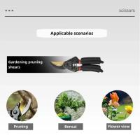 Tijeras De Poda Horticultura Forma De Pico De Pájaro SK5 Para Rama De Frutas Flores Poda De Jardín Herramientas De Poda Para El Hogar - details 4