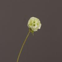 Hermosa flor Artificial de Scabiosa, tacto Real, elegante simulación de rama de Pristimera, flor falsa hecha a mano para sala de estar y escritorio - details 2