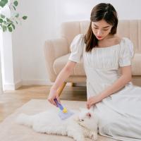 Cepillo de pelo para depilación de una sola tecla, cepillo de pelo portátil eficiente para perros y gatos, peine de aguja profesional silencioso - details 6