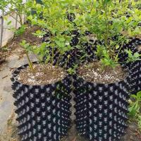 Maceta de propagación de Control de raíces, cultivo rápido de contenedor de raíces de plantas, plantación de árboles, trasplantador de bonsái, tabla de drenaje de raíces de Nersery - details 5