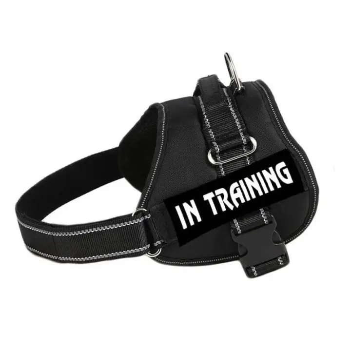 Arnés de control Chaleco DE ALTO Servicio, collar con parches extraíbles, Terapia Emocional EA para Perros, NO PET XXL XL L M - 1