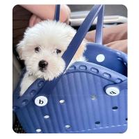 Bolsa de transporte para perros de EVA transpirable, bolsa de transporte para mascotas de viaje de mano de gran capacidad con diseño de cabeza con orificio, bolsa de mano portátil para gatos para mujer - details 1