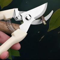 Tijeras multifuncionales de acero inoxidable para podar árboles, tijeras de jardinería, injerto de flores - details 1