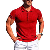 Nuevo Polo de manga corta elástico Fiess a rayas lisas de verano para hombre, camisas con cuello levantado a la moda para hombre - details 9