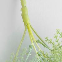 Planta de helecho colgante Artificial de 90cm, hojas de plantas verdes realistas de plástico, plantas colgantes falsas elegantes, fiesta de vacaciones y boda - details 7