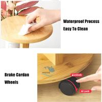 Estantería para Plantas de 5 Niveles con Ruedas Soporte para Múltiples Macetas de Esquina - details 5
