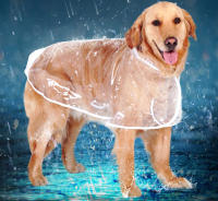 HOOPET-chubasquero para perros grandes y medianos, ropa impermeable para mascotas, chaqueta informal para cachorros - details 0