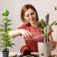 Columna de escalada de plantas, poste de musgo Sphagnum, soporte de cultivo de plantas, soporte de retención de agua, palo de extensión de plantas rico en fertilizante - details 13