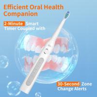 Cepillo de dientes eléctrico de alta calidad para adultos, carga inteligente sónica - details 11