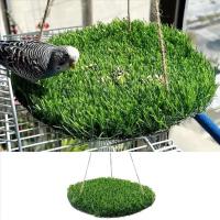 Colchoneta de hierba Artificial para columpio de pájaros, cama de dormir Natural para hámster con forma redonda/cuadrada con ganchos, estera colgante para buscar comida, juguetes para animales pequeños - details 1