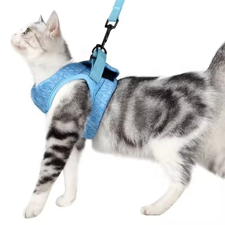 Conjunto de correa de poliéster para mascotas, Collar suave ajustable a prueba de Escape para gatos, correa ligera y transpirable, cinturón de tracción para perros - 1