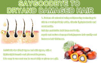 batana oil