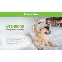 espoleta benebone