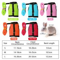 Correa de Malla Suave para Mascotas Pequeñas Conjunto de Correa y Correas para Conejos, Hamsteres, Cobayas Suministros para Mascotas - details 1