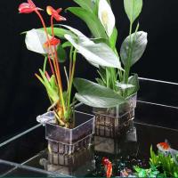 Copa de Hierba Acuaria Cesta de Plantas Hidroponicas Multiple para Tanque de Peces - details 0