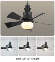 TOMAXIN-Lámpara e27para Ventilador de Techo,Tornillo para el Hogar Silencioso, Pequeño, Ahorro de Energía Inteligente - details 5
