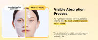 Absorption Process