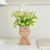 Amor europeo transfronterizo chica medio cuerpo suculenta planta verde maceta almacenamiento en el hogar patio jardín decoración de alta gama - details 3