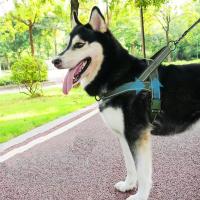 Chaleco con arnés para caminar para mascotas de nailon, chaleco con correa para perro ajustable y resistente al desgaste con tiras reflectantes a prueba de explosiones - details 4