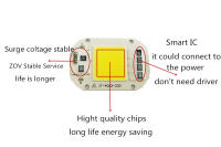 LED COB Hight Power 50W AC 220V Red Blue Green Lamp Chip Smart IC Fit For DIY Driverless Integrated Driver For Flood Light - details 4