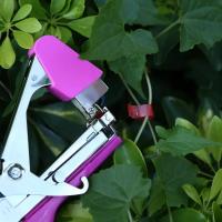 Hand Tying Binding Machine with 6 Roll Tapes +1 Box Staples Bind Branch Machine Grape Vine Stapler for Vegetables Pepper Vines - details 7
