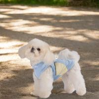 Thin Dog Cooling Vest Clashing Color Breathable Dog Sun Protection Clothes with D Ring Reflective Pet Mesh Vest Cats - details 1