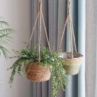 Cesta que teje de la cuerda de cáñamo de la maceta del balcón de la carne del jardín interior - details 5