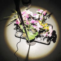 Luz LED con zoom de altura ajustable, lámpara de espectro completo para cultivo de plantas, 3/6/12H, 5 escalones, regulable, 10W - details 6