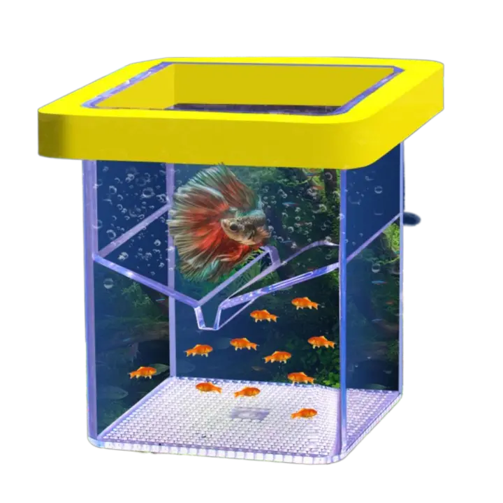 Caja de cría de acuario acrílica, caja de incubación de vivero de peces transparente de doble capa, caja de aislamiento de cría de peces Rectangular, pecera - 1