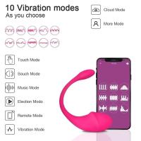 Leten Vibrador Inalámbrico Bluetooth Estimulador de Panties para Mujeres - details 4