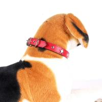 Collar de Mascota de Cuero con Pendientes de Estrellas Ideal para Perros Pequeños y Medianos - details 11