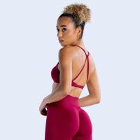 Sujetador deportivo de alto soporte para mujer, sujetador de ropa interior inalámbrico transpirable para Yoga y gimnasio - details 10
