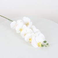 Rama de Phalaenopsis Artificial de 9 cabezas, 98cm, impresión 3D, orquídeas de polilla falsas, planta verde de lujo grande, sala de estar y balcón - details 4