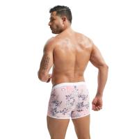 Bañadores sexis para hombre, traje de baño para hombre, Boxers para nadar, pantalones cortos, traje de baño, pantalones cortos de Surf, gafas Banadores, ropa de playa - details 2