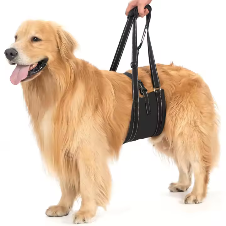 Arnés de Elevación para Perros, Soporte Levantador para Piernas Traseras con Asa y Correas para exhibición de Cadera para Perros - 1