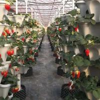 ETA de plástico de flores apilable vertical, soporte para plántulas de fresa, éter vegetal, decoración de jardín ETA de tres pétalos, 1 pieza. - details 5