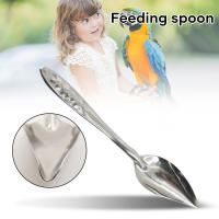 Cuchara de agua portátil para alimentación de aves, cuchara de acero inoxidable para alimentación de aves, polluelos, suministros para loros - details 6