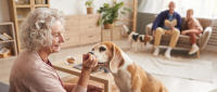 Sofá Cama para Perros - Antimanchas, Fondo Antideslizante, Lavable, en Colores Azul y Gris, Ideal para Perros Grandes - details 0