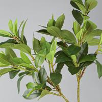 Grandes ramas artificiales de Fagraea, ramas realistas hechas a mano de Pachira, elegante, tacto Real, Ilex Chinensis Artificial - details 4