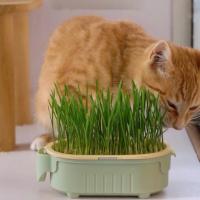 Taza de Crecimiento Hidropónica de Alta Calidad para Mascotas, Taza de Cultivo Hidropónico - details 2