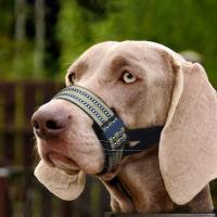 Bozales ajustables para perros, transpirables, previenen mordeduras y ladridos, cubierta bucal antiladridos, protector bucal suave y duradero para perros - details 3